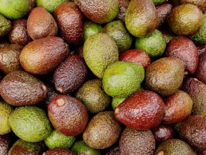 Why Are Avocados Bad for the Environment