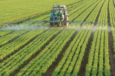 Why Are Pesticides Bad for the Environment