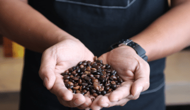 What is Ethical Coffee